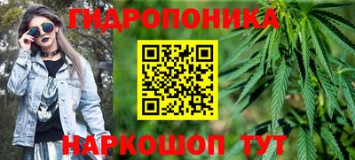 spice Дубна