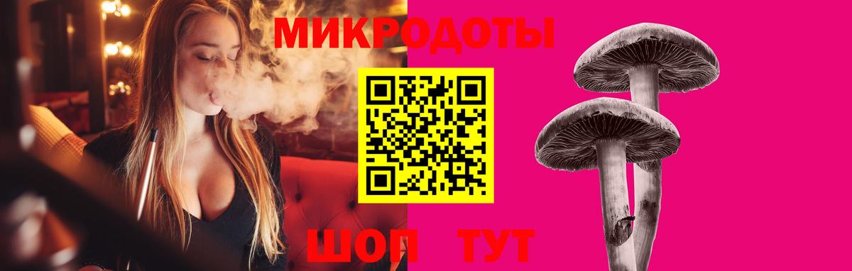 Галлюциногенные грибы Psilocybine cubensis  Вход с VPN  Муром  Псилоцибиновые грибы прущие грибы 